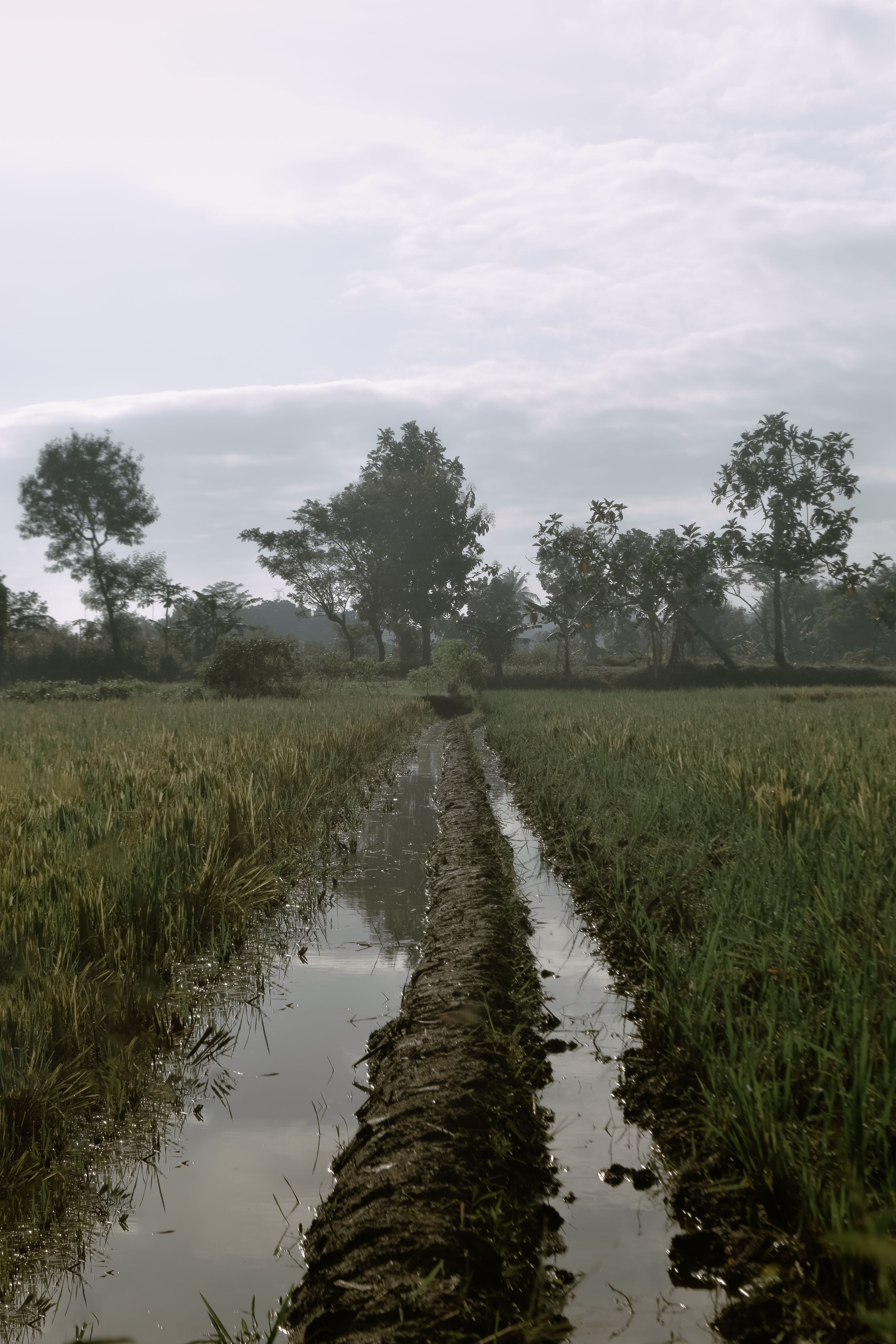 Calidad del agua: El pilar invisible de la agricultura pequeña y mediana